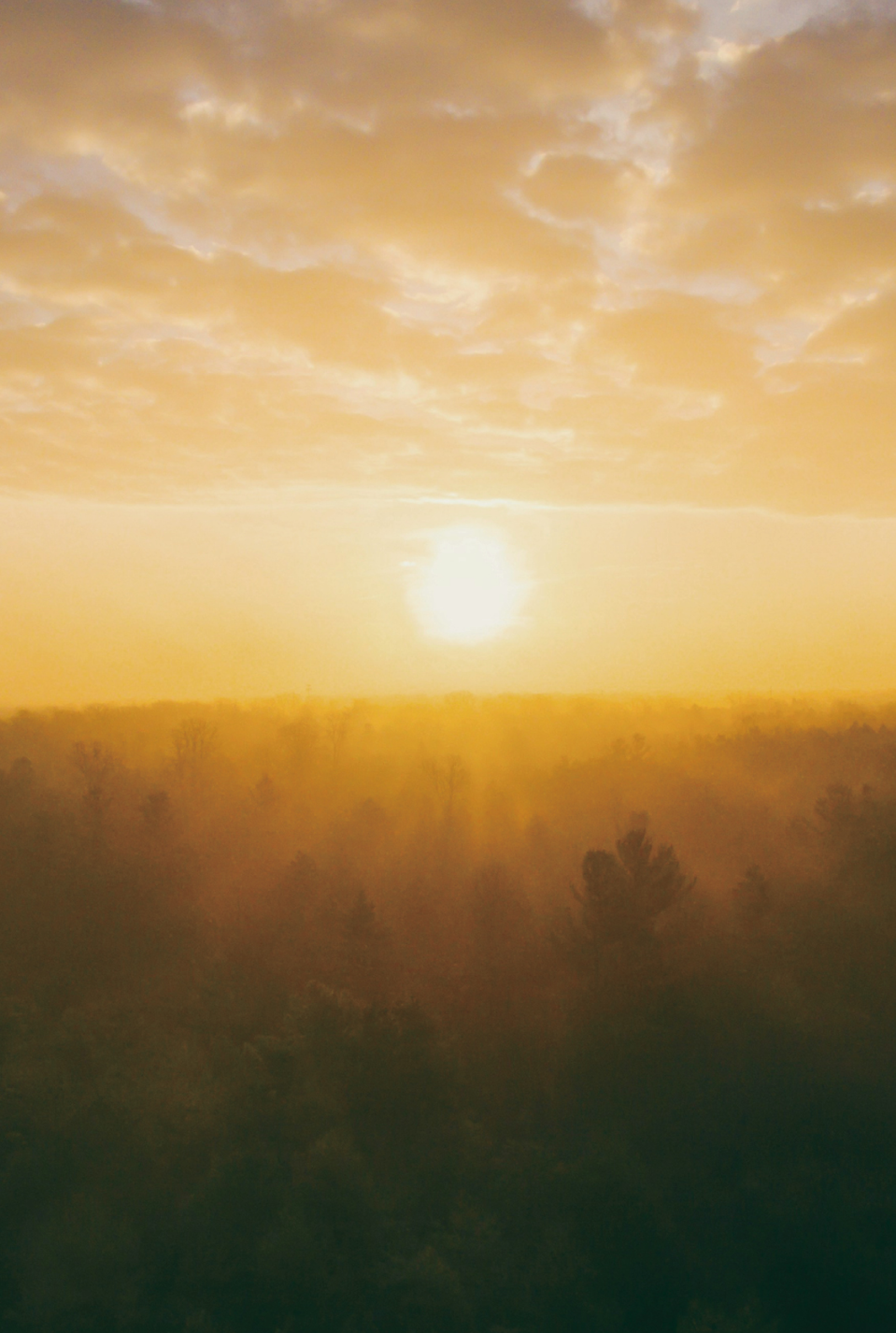 Section 1 Left Image